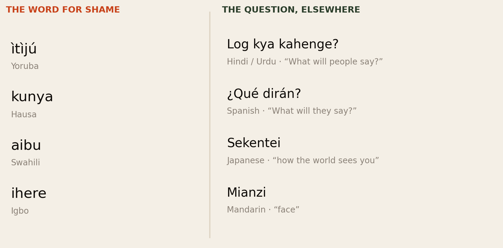 Two-column list. The word for shame: itiju in Yoruba, kunya in Hausa, aibu in Swahili, ihere in Igbo. The question, elsewhere: Log kya kahenge in Hindi and Urdu meaning what will people say; Qué dirán in Spanish meaning what will they say; Sekentei in Japanese meaning how the world sees you; Mianzi in Mandarin meaning face.