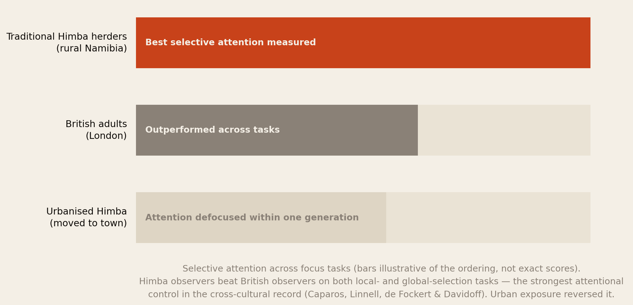 Chart: traditional Himba herders outperform British adults on selective attention; urbanised Himba lose the advantage