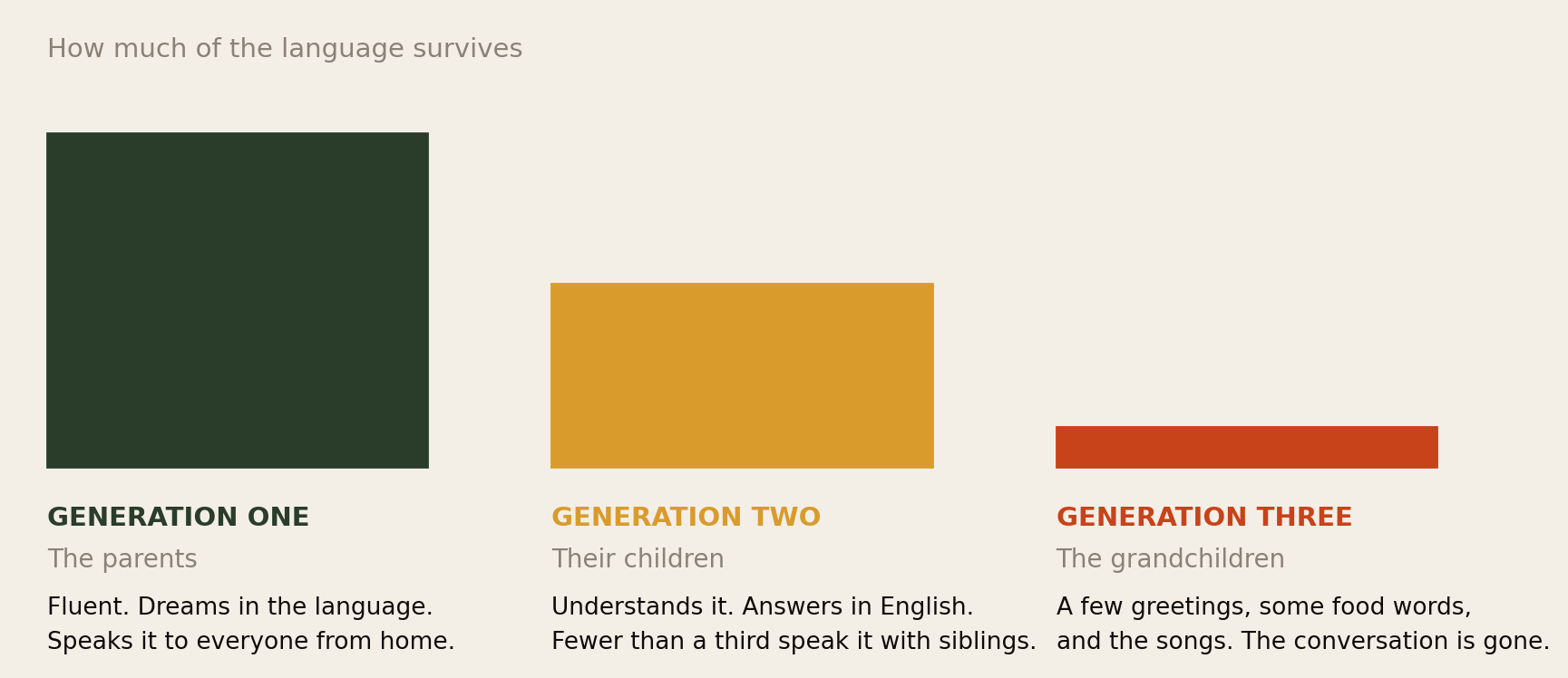 Three bars declining across generations. Generation one, the parents: fluent, dreams in the language, speaks it to everyone from home. Generation two, their children: understands it, answers in English, fewer than a third speak it with siblings. Generation three, the grandchildren: a few greetings, some food words and the songs; the conversation is gone.